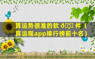 算运势很准的软 🦉 件（算运程app排行榜前十名）